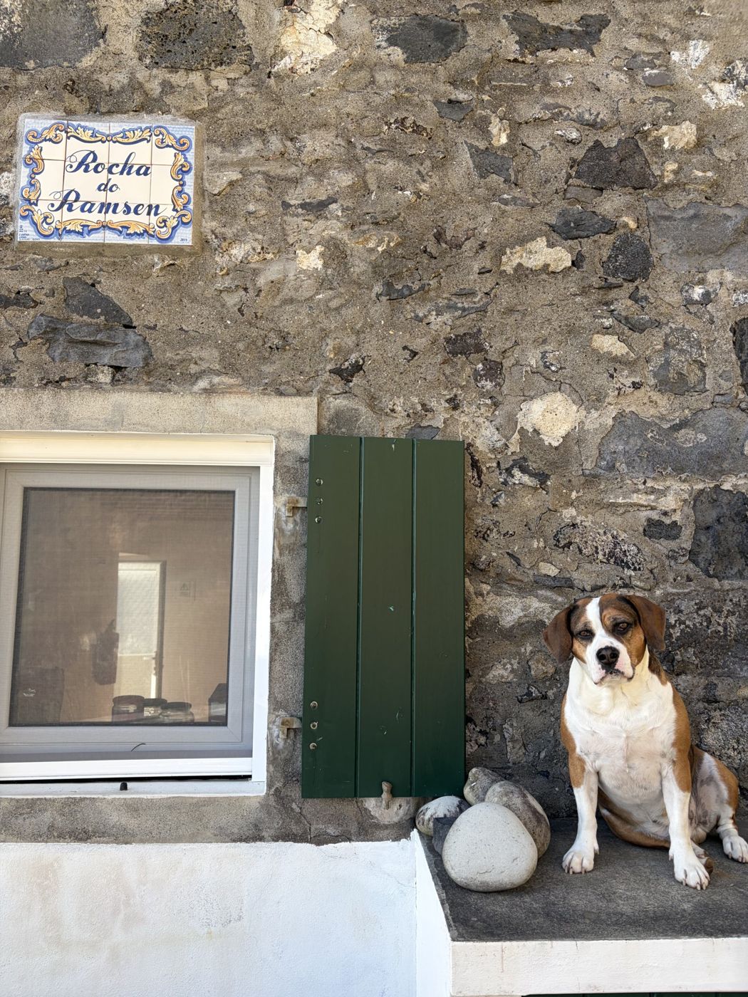 The Rocha do Ramsen tile on the stone wall, the dog sitting beside the green shutter