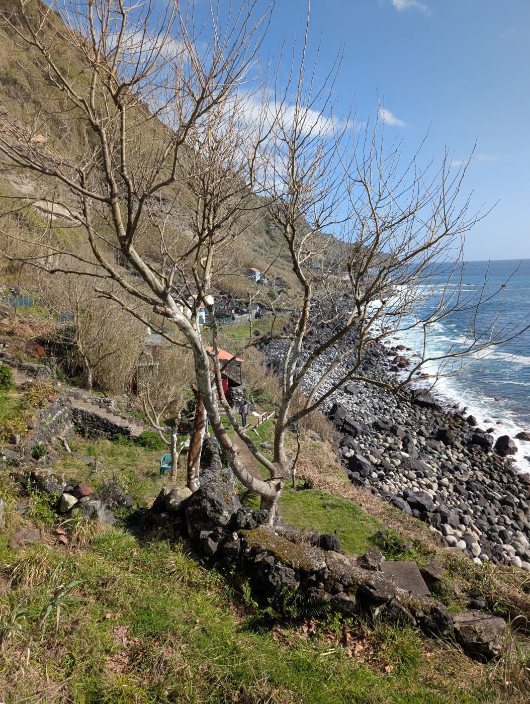 Bare winter trees above the boulder beach and the village, blue sky